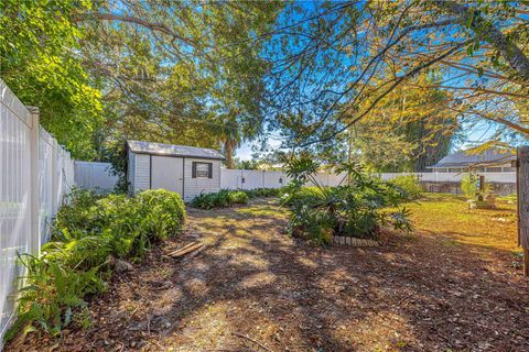 A home in MOUNT DORA