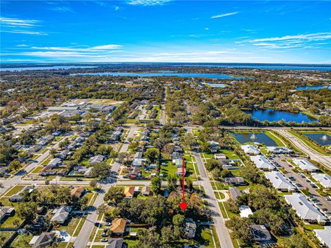 A home in MOUNT DORA