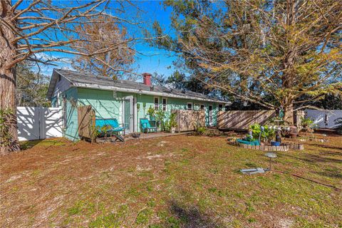 A home in MOUNT DORA