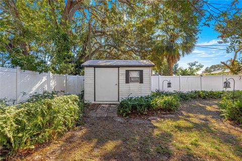 A home in MOUNT DORA