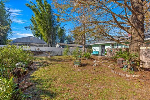 A home in MOUNT DORA