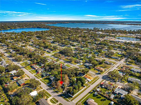 A home in MOUNT DORA