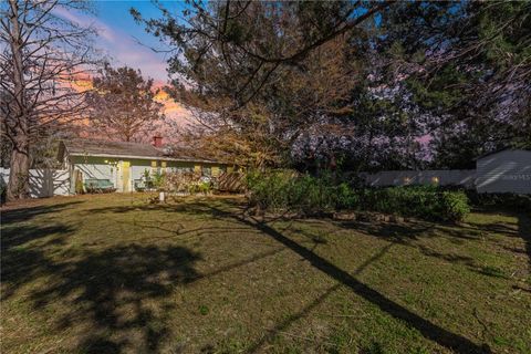 A home in MOUNT DORA