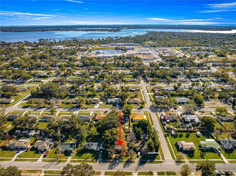 A home in MOUNT DORA