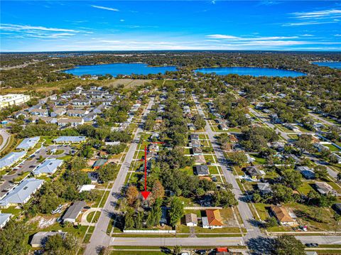 A home in MOUNT DORA