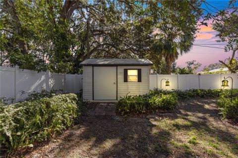 A home in MOUNT DORA