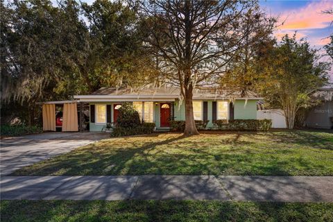 A home in MOUNT DORA