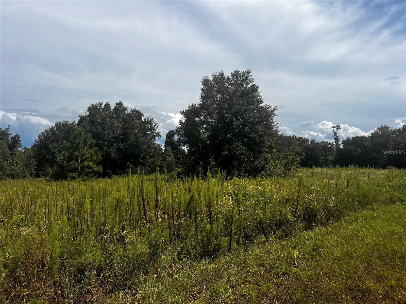 Oh what a beautiful place to live. I can only imagine what kind of DREAM HOME you will build on this up and over the sites of the town 10 Acre wooded lot. Build your Dream Home and an additional dwelling unit if you are looking to spread the family out *BUILDING RESTRICTIONS MAY APPLY Come enjoy the country living on these 10 acres of land. You can custom build or ask listing agent for preferred builder if you don't have one. There is enough open space to run the horses, put up the coops and graze the cattle. Nice open space and clean, fresh living. Move on Up to Sugarloaf Mountain with a View.