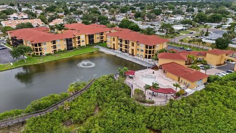 A home in TAMPA