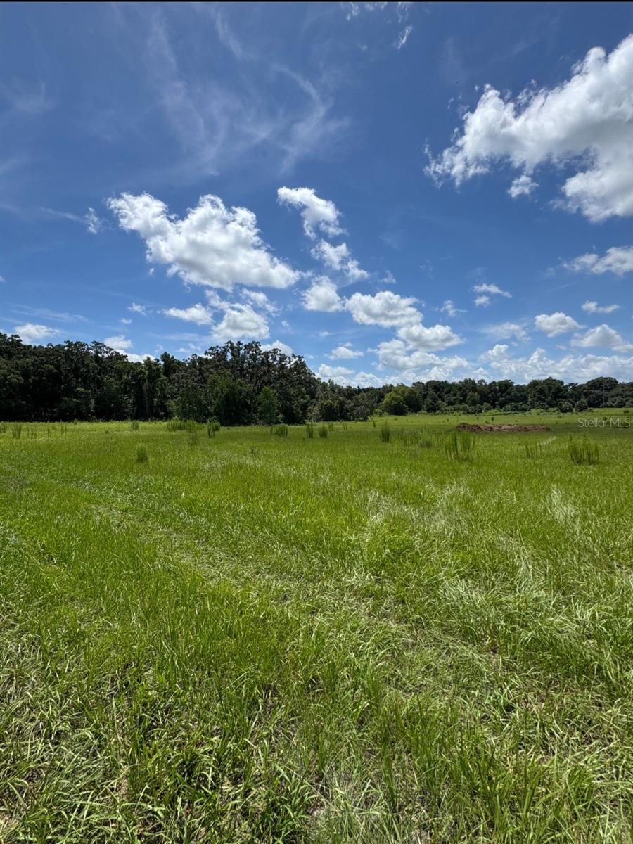 Lucious 9+acres with frontage on HWY 75 ready for a new home and your livestock. Just north of HWY 326 exit. Well on property.