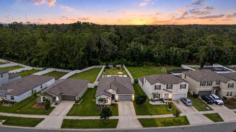 Photo of 13411 Willow Bluestar Loop, Riverview, FL 33579 (MLS # TB8518987)