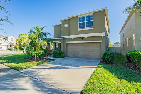 A home in WIMAUMA