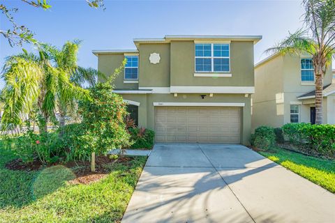 A home in WIMAUMA