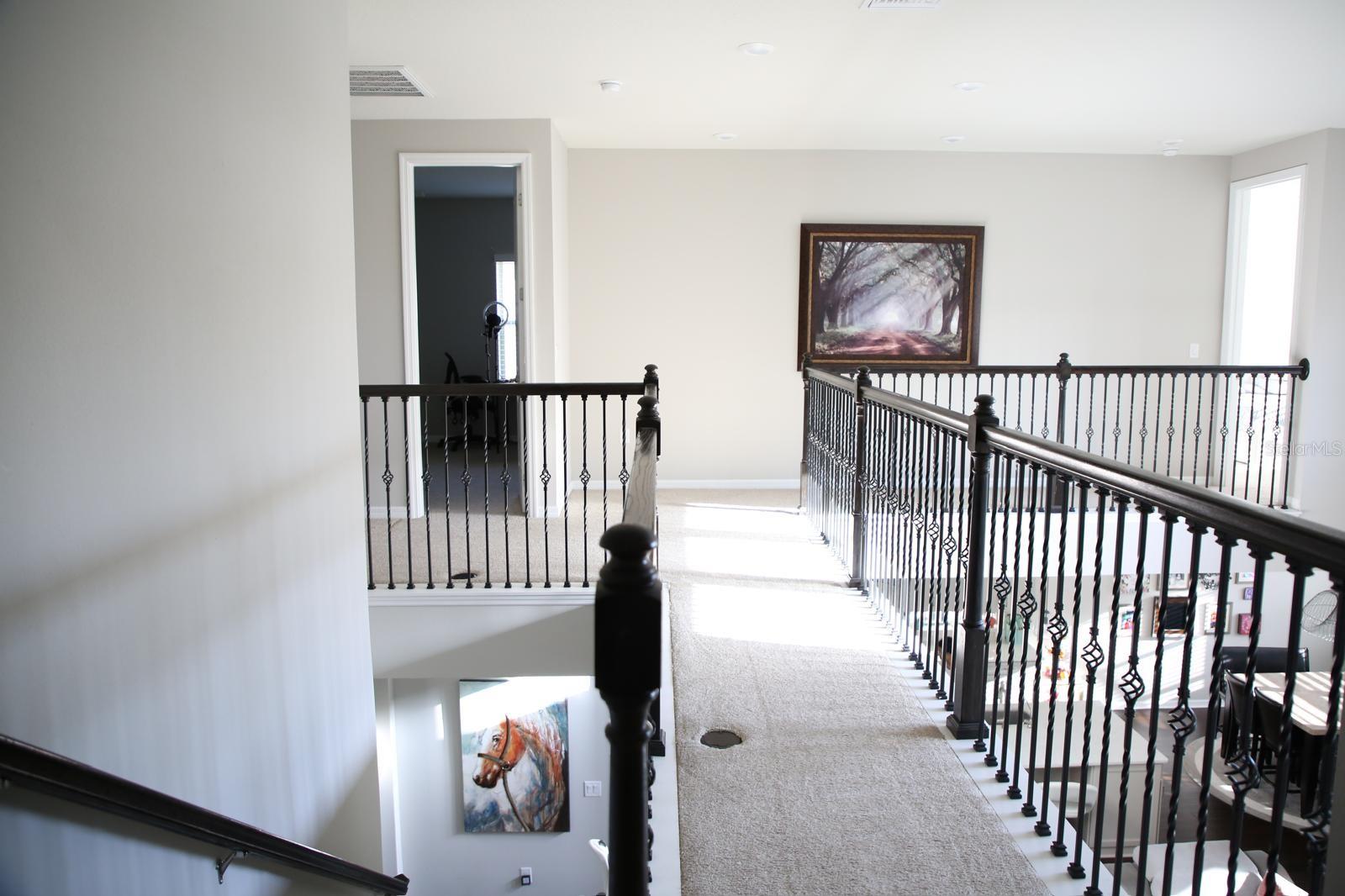 BIRCHWOOD PRESERVE SOUTH - Residential