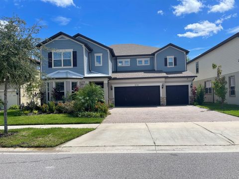 18783 BIRCHWOOD GROVES DRIVE LUTZ FL 33558