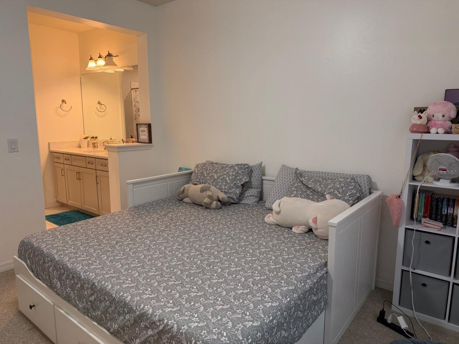 BIRCHWOOD PRESERVE SOUTH - Residential