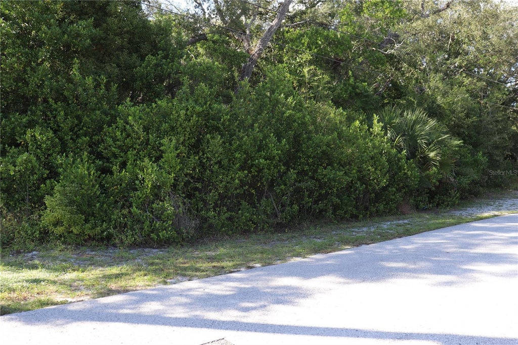Photo of 1221 Sylvia Avenue, Spring Hill, FL 34606 (MLS # W7890693)