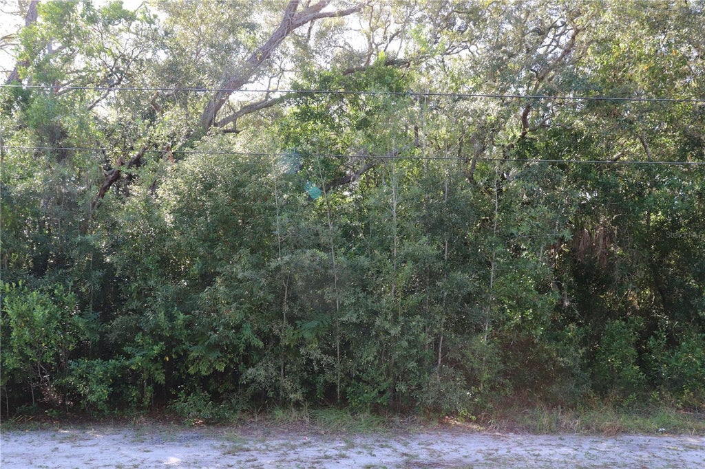 Photo of 1221 Sylvia Avenue, Spring Hill, FL 34606 (MLS # W7890693)