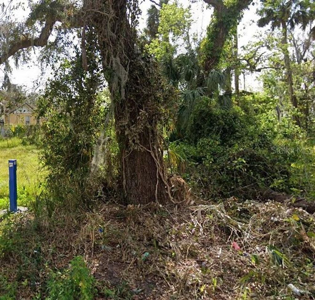 Photo of 00 Division Street, Daytona Beach, FL 32114 (MLS # G5108191)