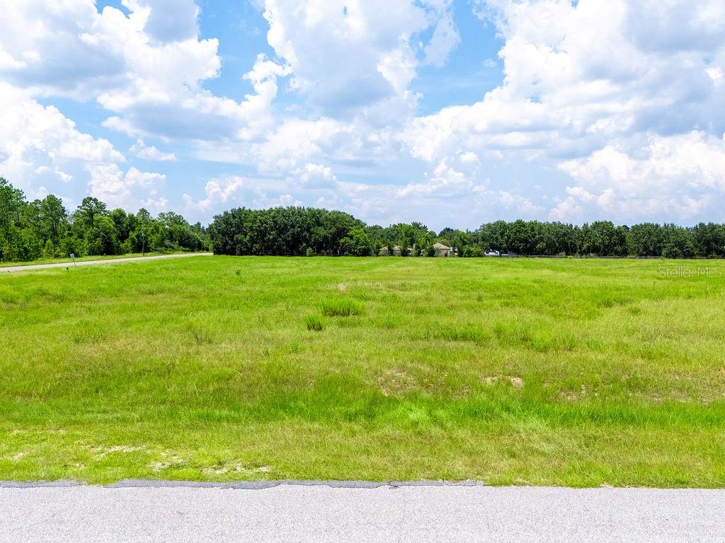 Imagine all the possibilities with this high and dry 2.25 acre lot with NO HOA! This level lot has already been cleared, making it even easier to build your dream home! Enjoy the freedom to bring your own builder and store your boat, RV, and other toys. You’ll love having the best of both worlds, tucked away in a location that’s peaceful and private while also still being close to shopping, dining, and major roads. Don’t miss out on this fantastic opportunity and start making plans to build your perfect retreat today!