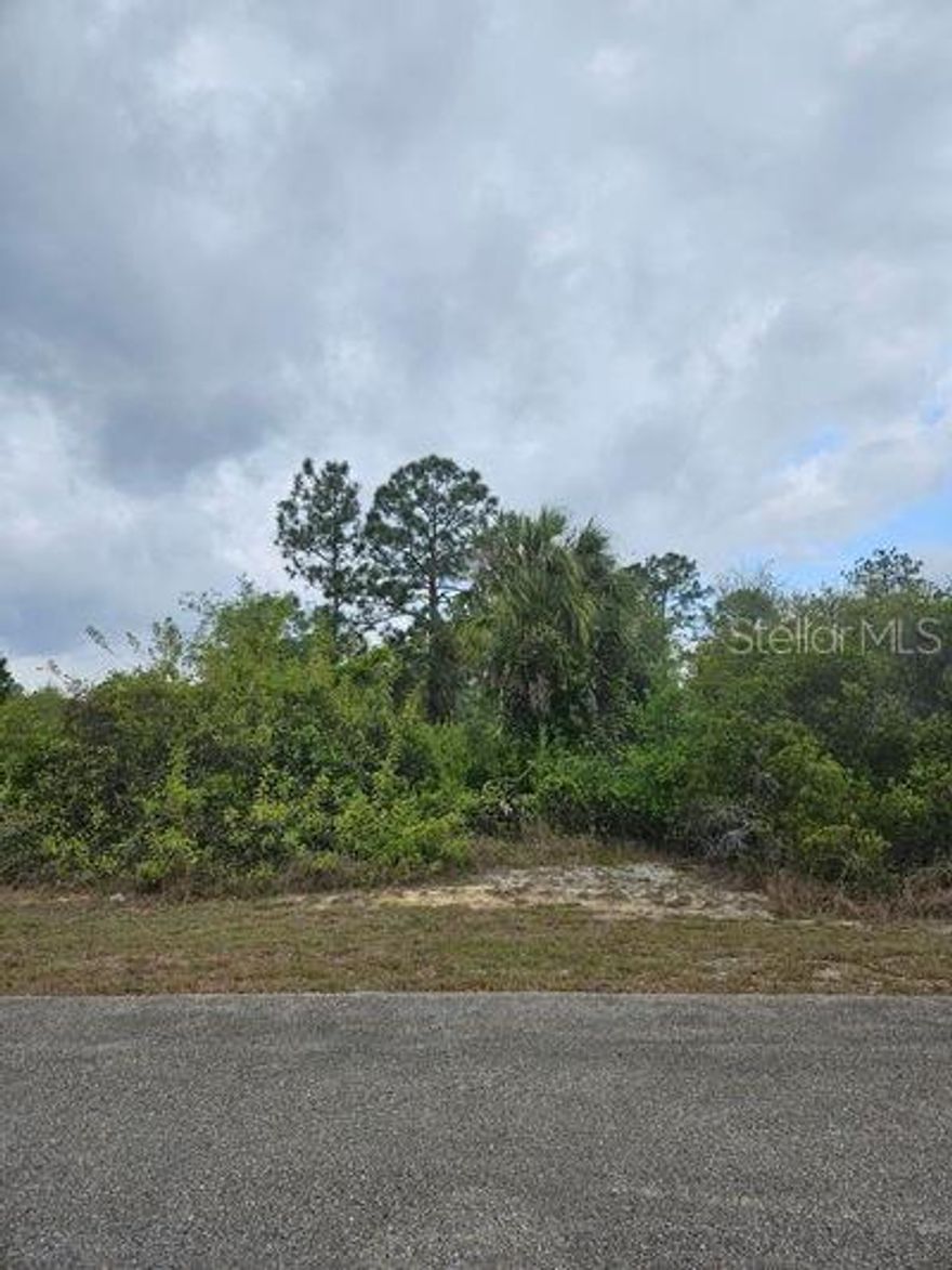 Discover the perfect place to build your dream home on this beautiful vacant lot located in a peaceful area of Lehigh Acres, Florida. Situated on Clayton Avenue, this property offers a blend of tranquility and convenience, making it ideal for anyone looking to enjoy the Florida lifestyle.
This high and dry lot sits on a quiet, low-traffic street surrounded by newer homes, providing a welcoming neighborhood feel without the congestion of the city. With plenty of space for a single-family home, pool, and outdoor living area, this lot gives you the flexibility to design the property that fits your vision.
Enjoy the convenience of being just minutes from shopping, dining, schools, medical facilities, and local parks, while still maintaining a sense of privacy and serenity. The property offers easy access to Joel Blvd, Palm Beach Blvd (SR 80), and I-75, providing a quick route to Fort Myers, Southwest Florida International Airport, and the beautiful Gulf Coast beaches.
Whether you're an investor seeking a promising piece of land or a homeowner ready to build, this location offers tremendous potential for long-term growth and value.
Don’t miss your opportunity to own a slice of Southwest Florida paradise — your future home site awaits at 1711 Clayton Ave!