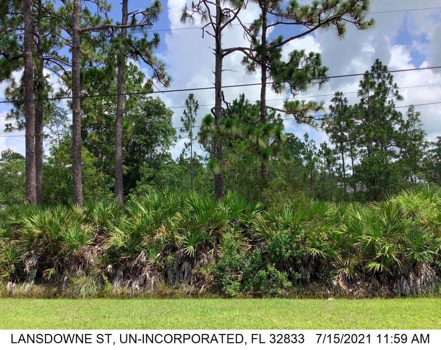 Discover the perfect blend of privacy, space, and convenience on this rare 1.03-acre lot. Tucked away from the rush of city life yet ideally positioned between Downtown Orlando and Cocoa Beach, this homesite offers the perfect setting to design and build the custom home you've always envisioned.
Enjoy a peaceful, nature-rich lifestyle. Outdoor enthusiasts will appreciate the nearby Hal Scott Regional Preserve & Park, offering over 9,500 acres of trails for hiking, horseback riding, biking, fishing, and wildlife viewing. Conveniently located near the 528, you're just minutes from Orlando International Airport (~20 min), Downtown Orlando (~30 min), theme parks (~40 min), and beautiful beaches. Whether you're ready to build now or planning for the future, this serene and spacious lot is a rare opportunity in a welcoming Central Florida community