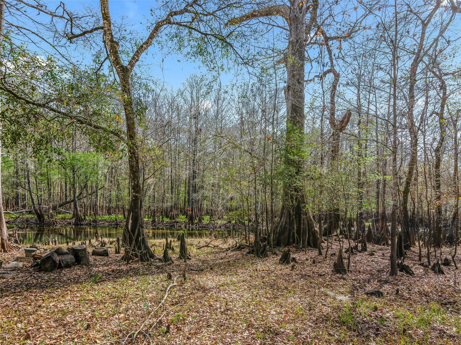 JERRY TAYLOR LANDING - Residential