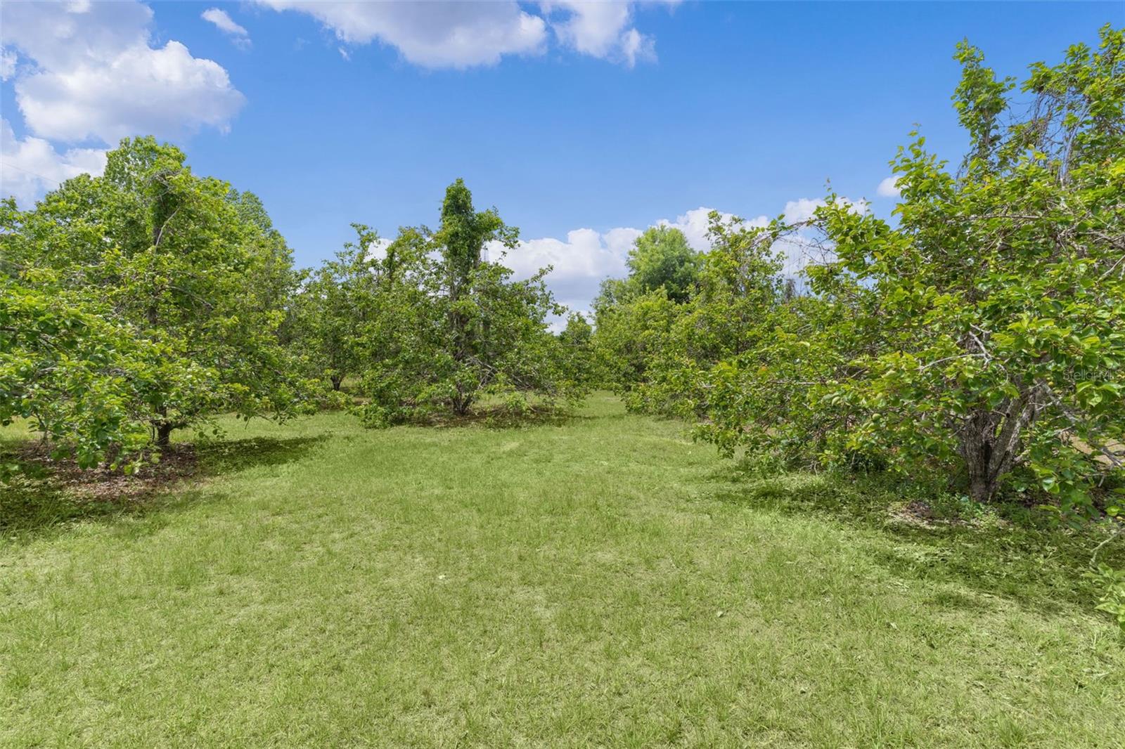 UNINCORPORATED - Residential