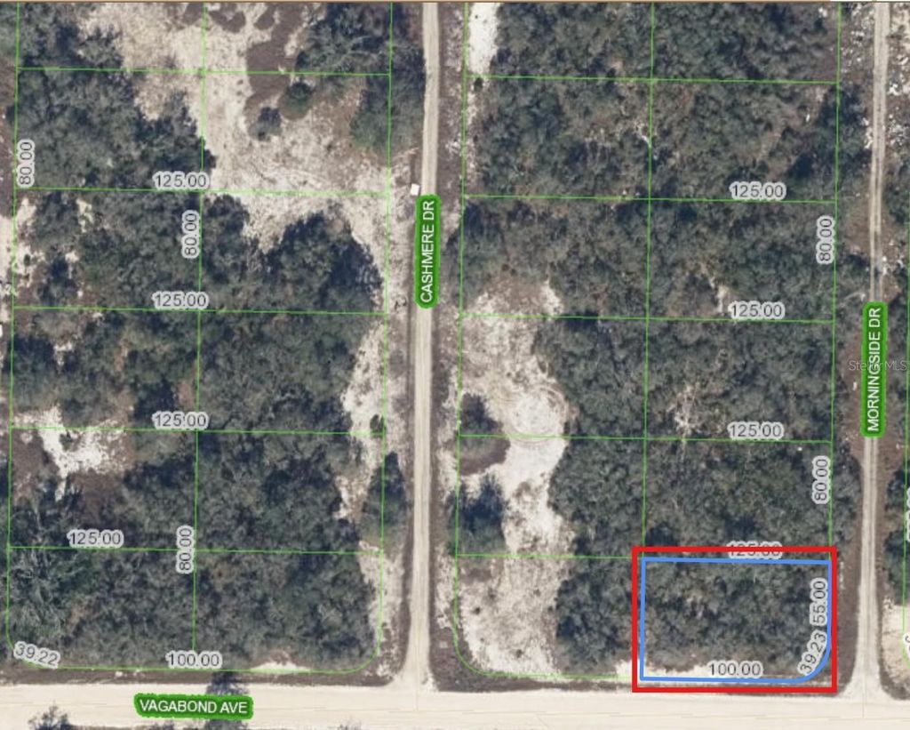 Photo of 130 Vagabond Avenue, Lake Placid, FL 33852 (MLS # TB8508954)