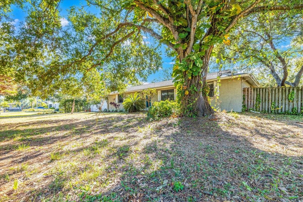 12508 PALOMINO COURT