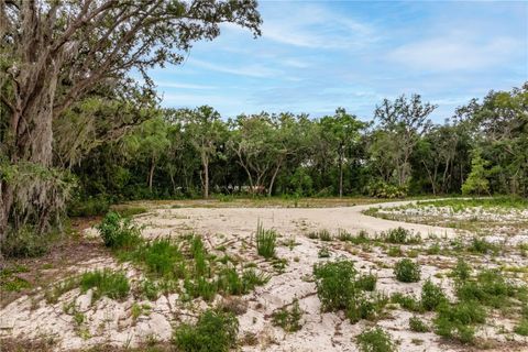 Tiny photo for Bay Street, Leesburg, FL 34788 (MLS # O6406705)