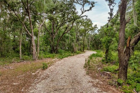 Tiny photo for Bay Street, Leesburg, FL 34788 (MLS # O6406705)