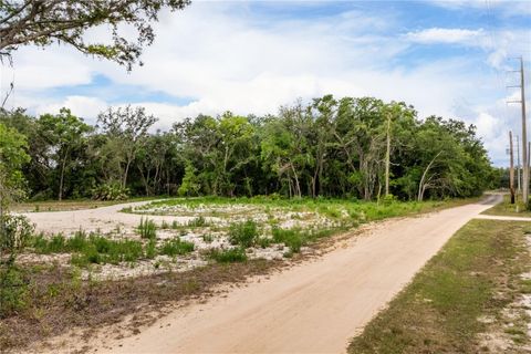 Tiny photo for Bay Street, Leesburg, FL 34788 (MLS # O6406705)