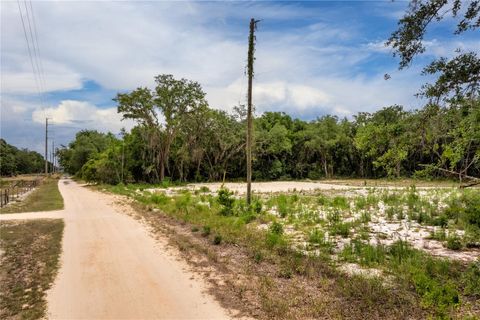 Tiny photo for Bay Street, Leesburg, FL 34788 (MLS # O6406705)