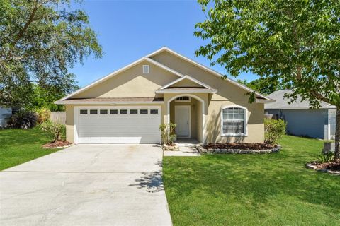 Photo of 1073 Sheeler Hills Drive, Apopka, FL 32703 (MLS # TB8498343)