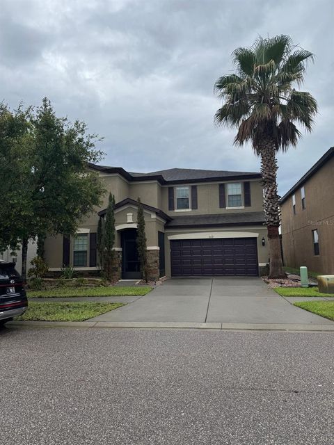 9221 MOUNTAIN MAGNOLIA DRIVE RIVERVIEW FL 33578
