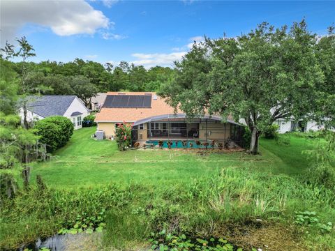 A home in ORLANDO