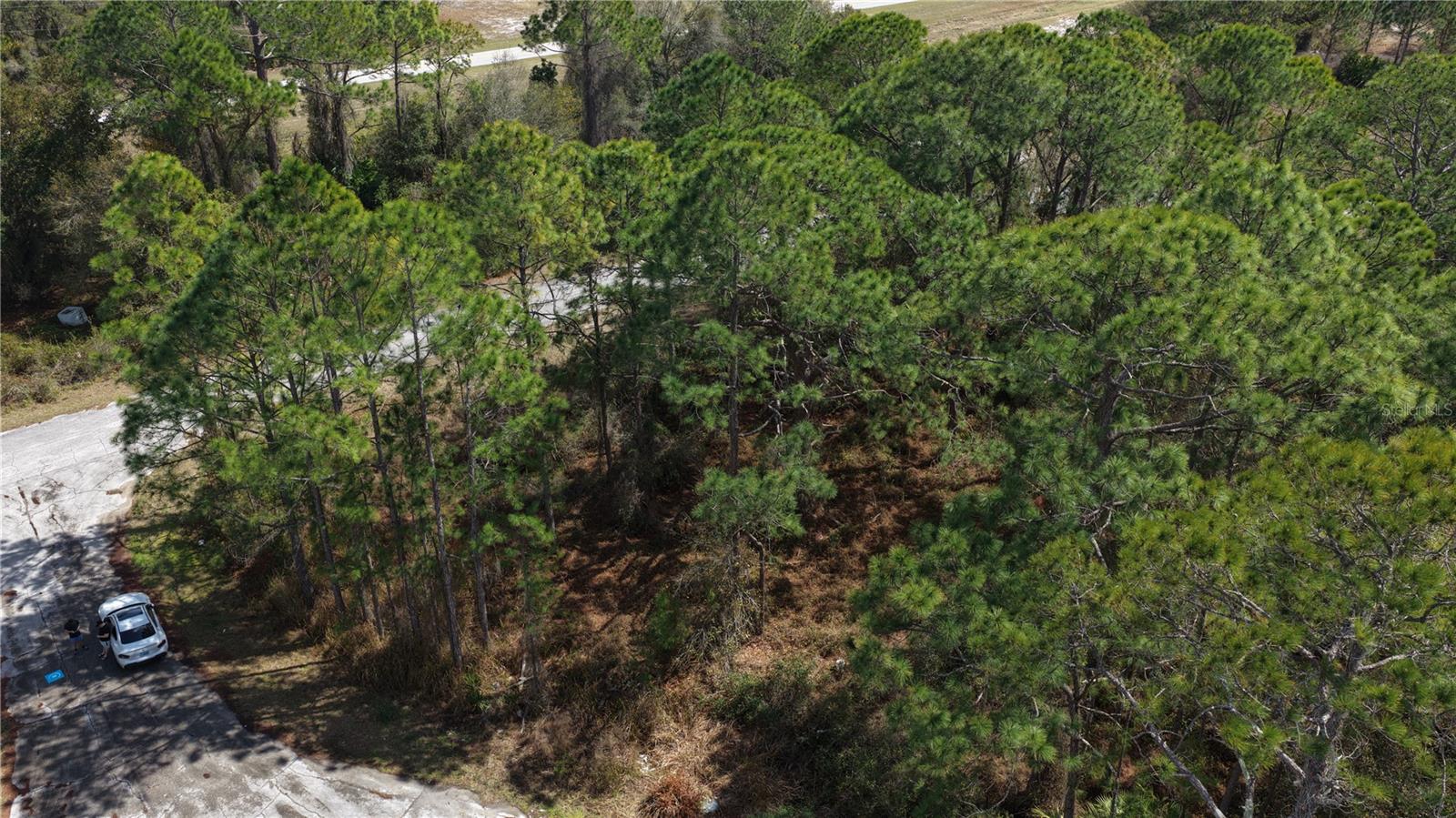 POINCIANA NBRHD 02 WEST VILLAGE 07 - Land