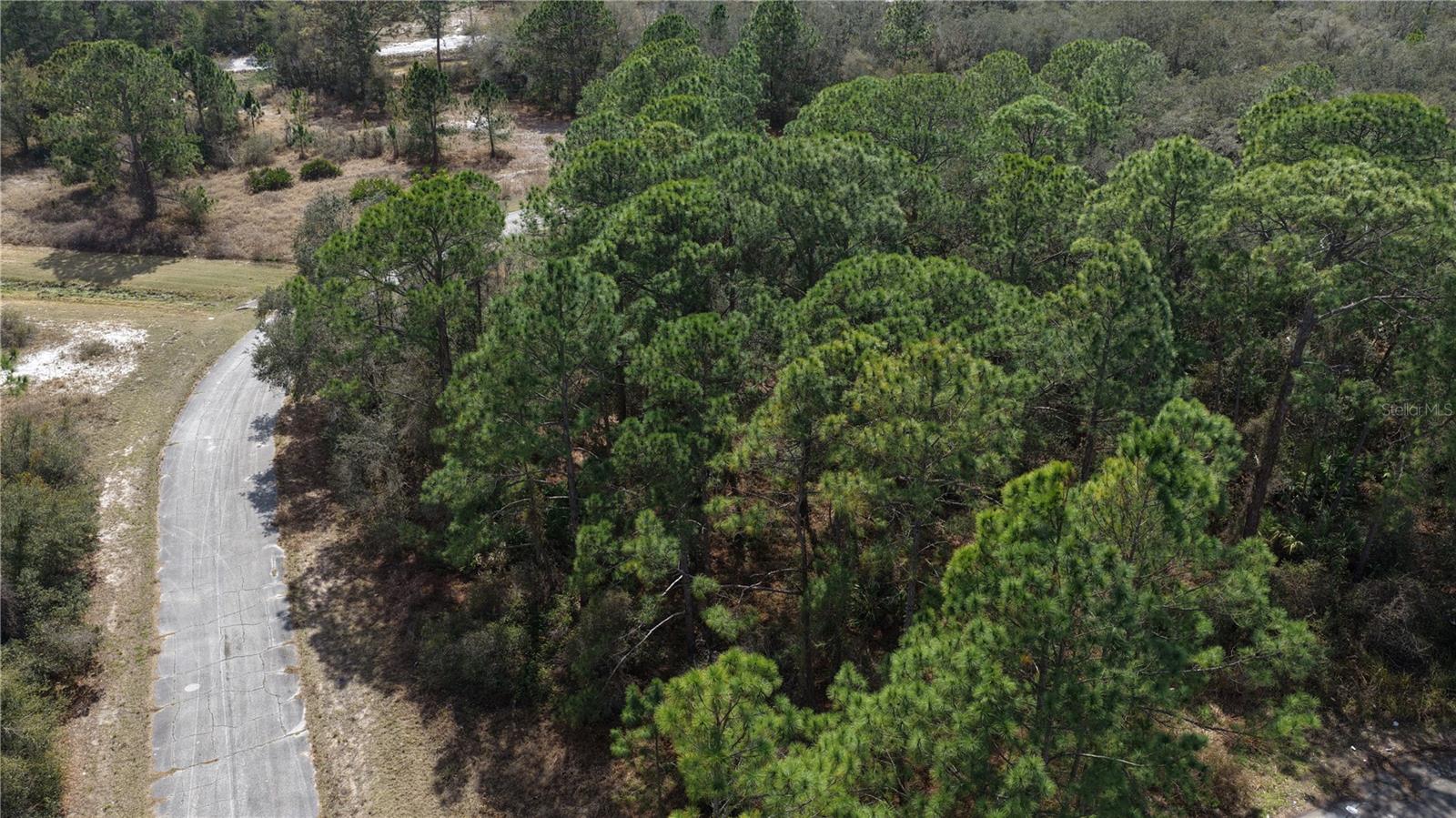 POINCIANA NBRHD 02 WEST VILLAGE 07 - Land