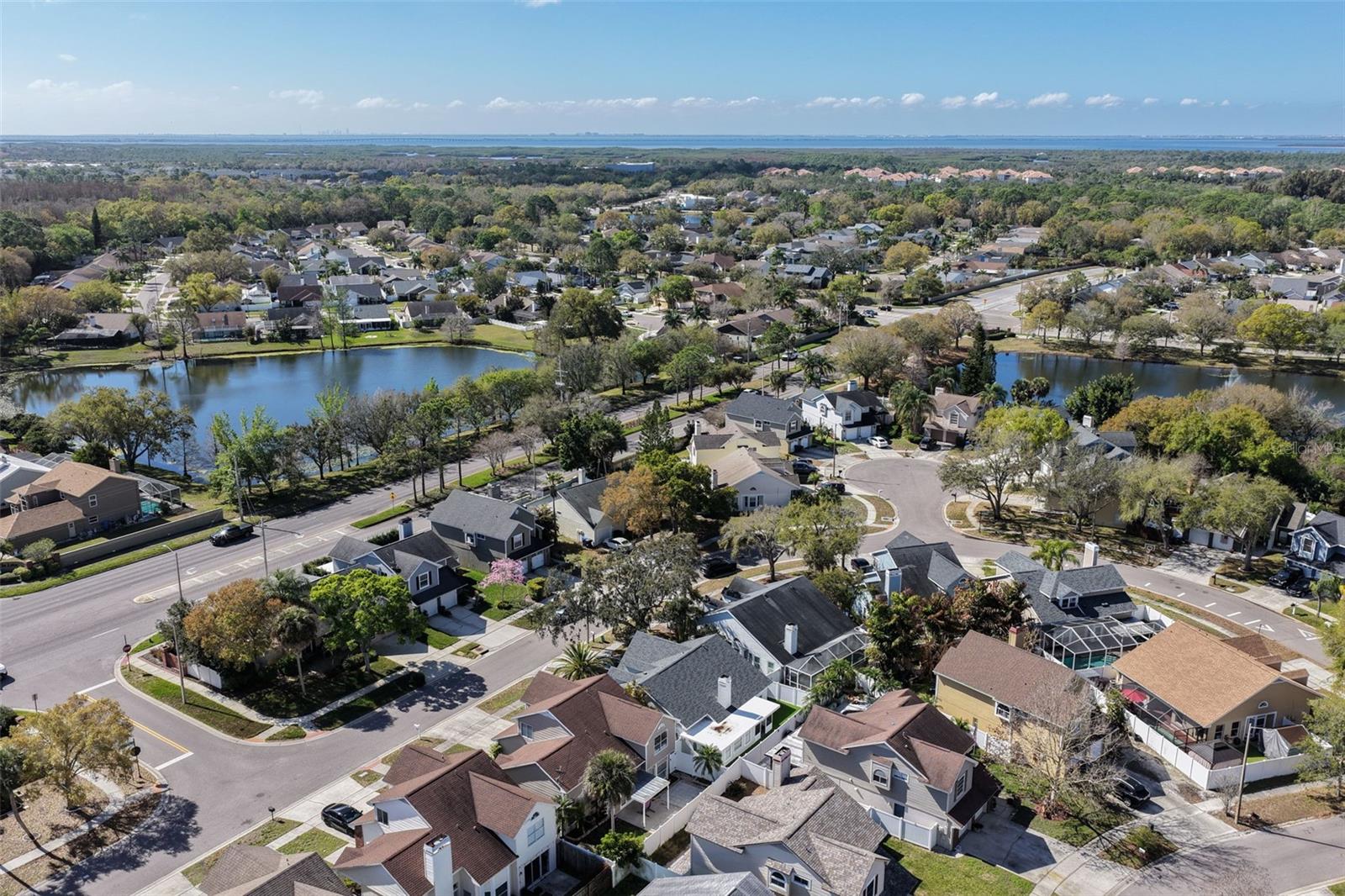 WELLINGTON HOMES AT COUNTRYWAY - Residential