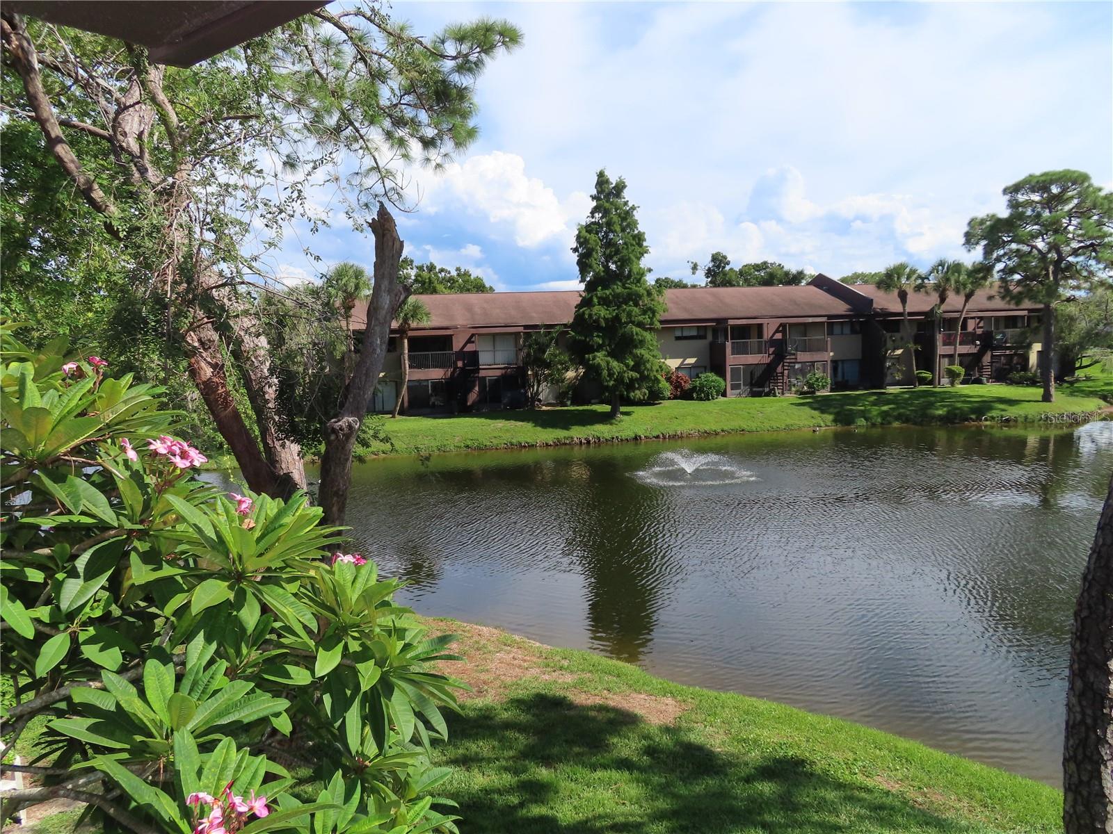 870 VILLAGE LAKE TERRACE N 204