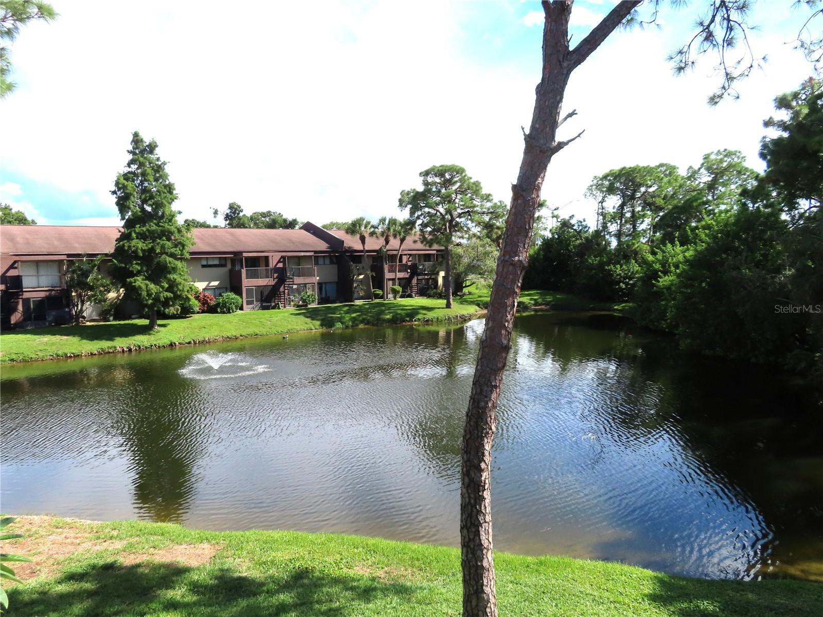 870 VILLAGE LAKE TERRACE N 204