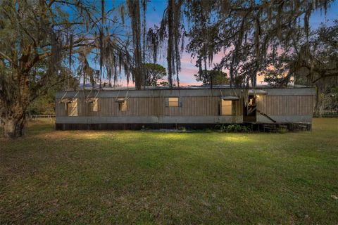 17053 NE 148TH TERRACE FORT MC COY FL 32134