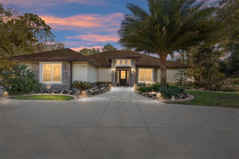 Photo of 10170 SW 202nd Circle, Dunnellon, FL 34431 (MLS # OM719189)