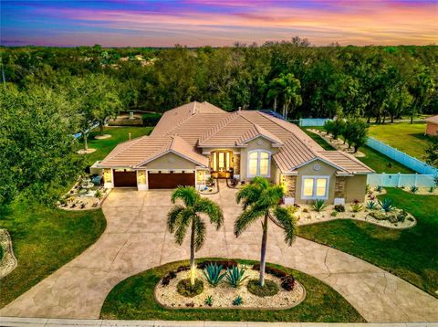 Photo of 405 Petrel Trail, Bradenton, FL 34212 (MLS # A4684301)