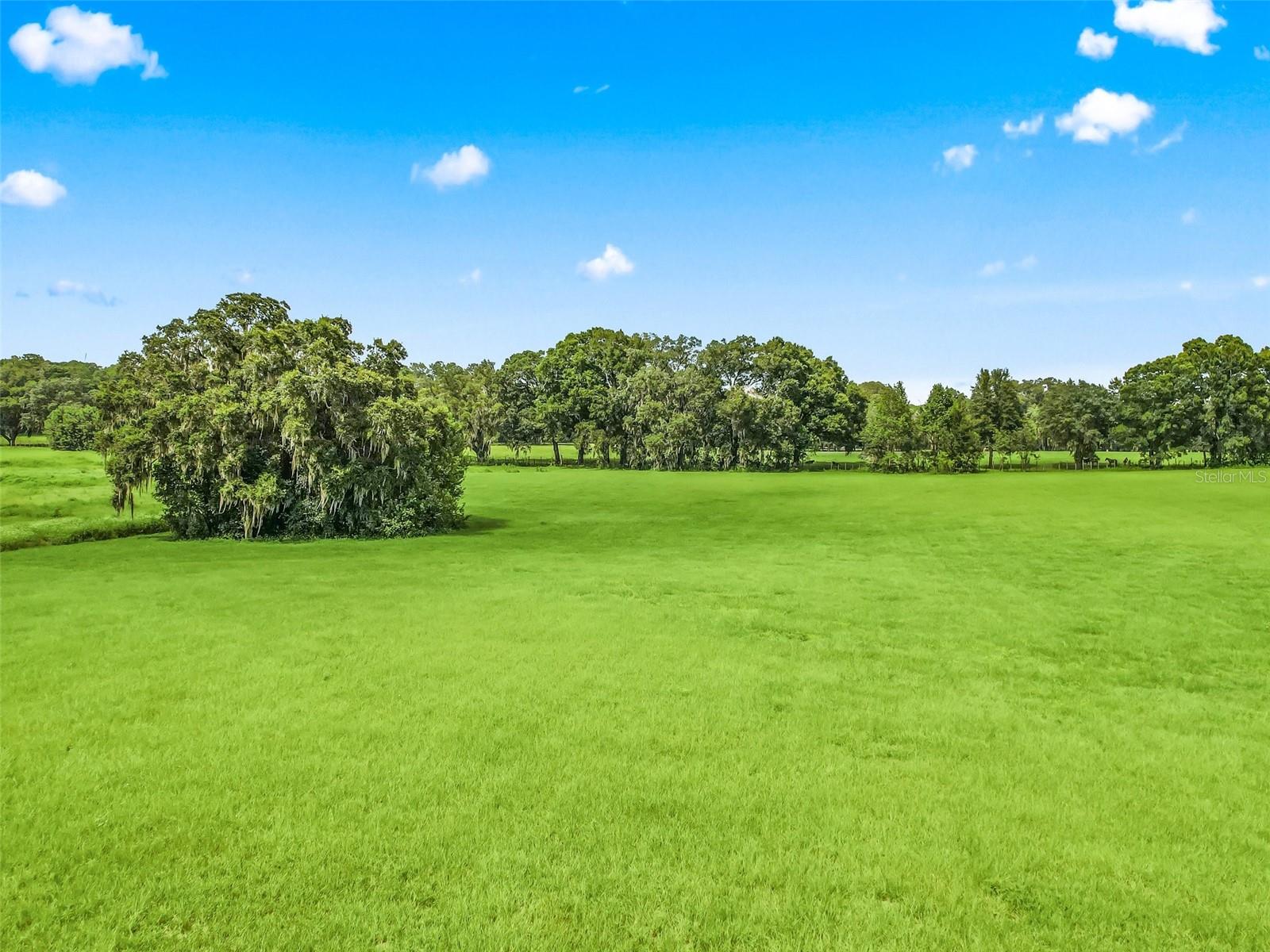 GREENWAY CROSSINGS - Land