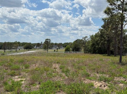 Tiny photo for 6115 Ranch Lake Road, Groveland, FL 34736 (MLS # G5111488)