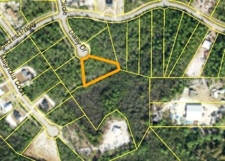 Photo of 355 Daisy Drive, Eastpoint, FL 32328 (MLS # C7531105)