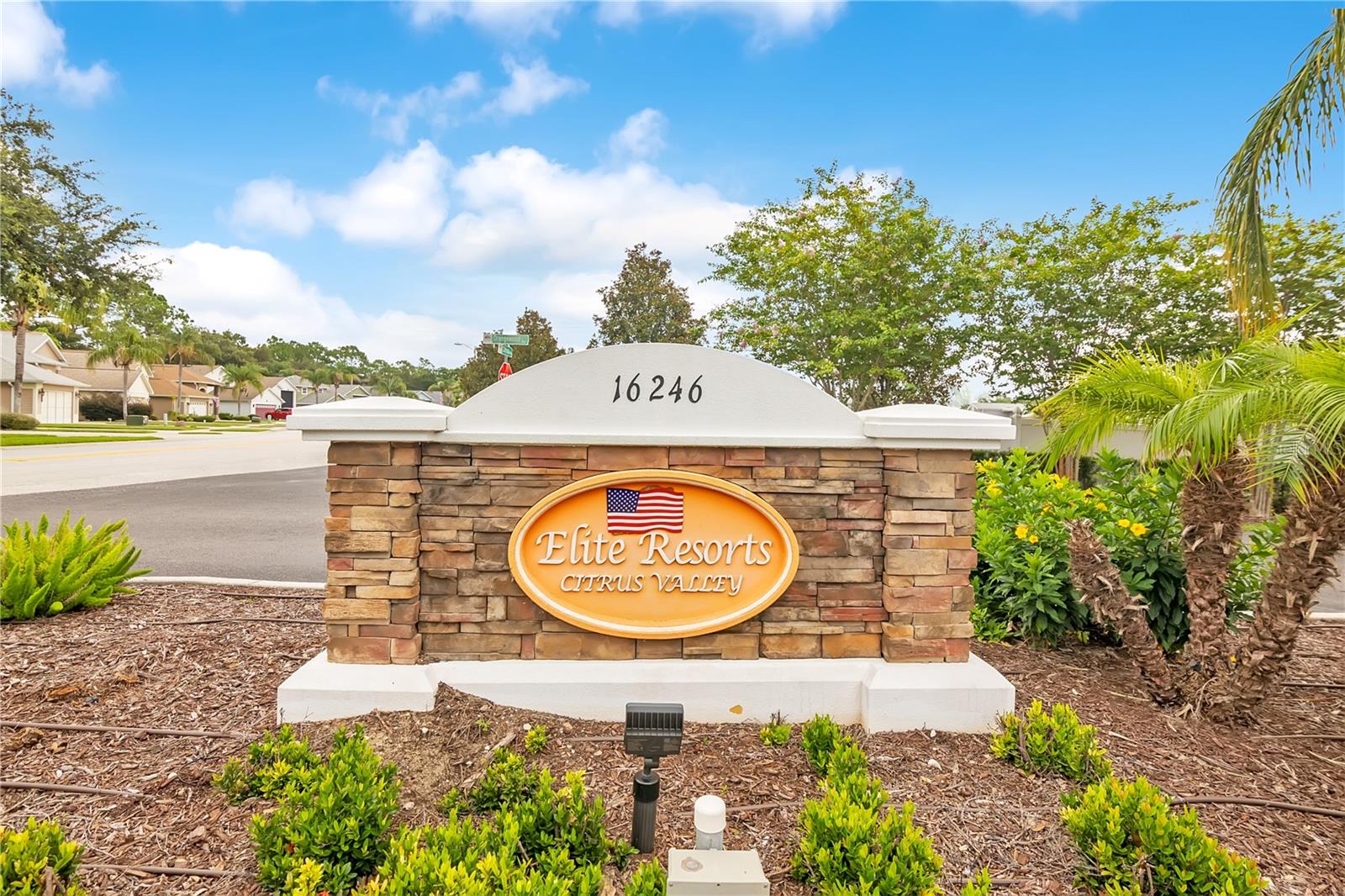 2451 CITRUS TREE ROAD