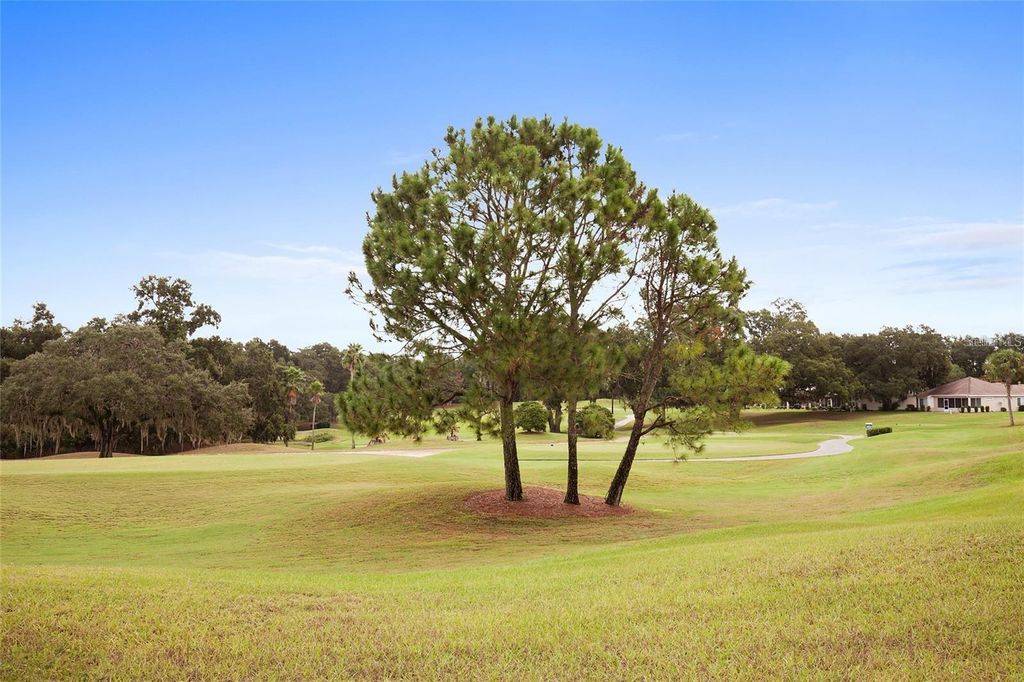 listing image 73